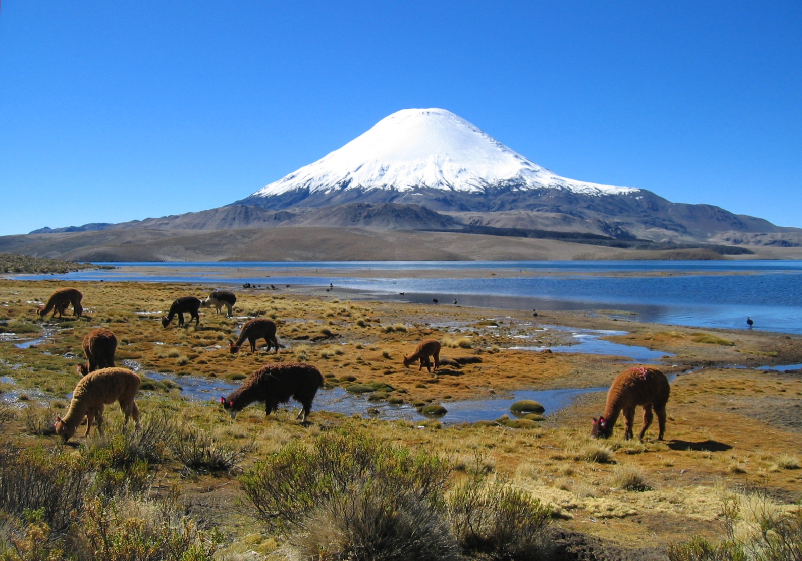 fire ice Parinacota volcano geology time [source: https://commons.wikimedia.org/wiki/File:Parinacota_volcano.jpg]