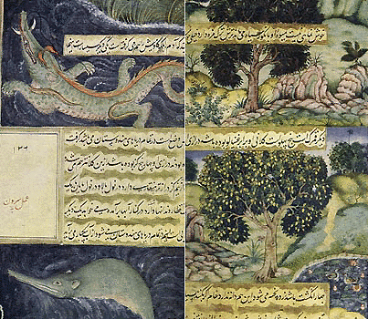 Babur ajayeb [source: Babur-namah, Mughol miniatures, c. 1520]