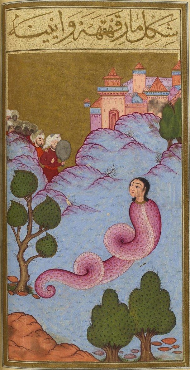 woman laugh snake mirror abyss animal landscape morality erect nature [source: Matali' al-Saadet (The Book of Felicity)]