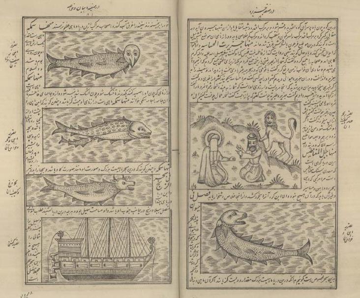ajayeb book fish species face head body magnetism island [source: Tusi, ʿAjā'ib al-makhlūqāt wa gharā'ib al-mawjūdāt]