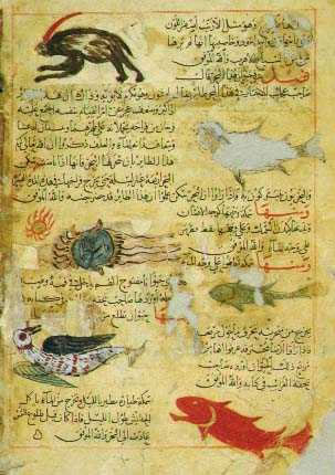 ajayeb book taxon categorical classification [source: A 14th-century AD manuscript of Zakariya ibn Muhammad al-Qazwini's Aja'ib al-makhluqat (The Wonders of Creation; Persian: ﻋﺟﺎﺋب اﻟﻣﺧﻠوﻗﺎت )]