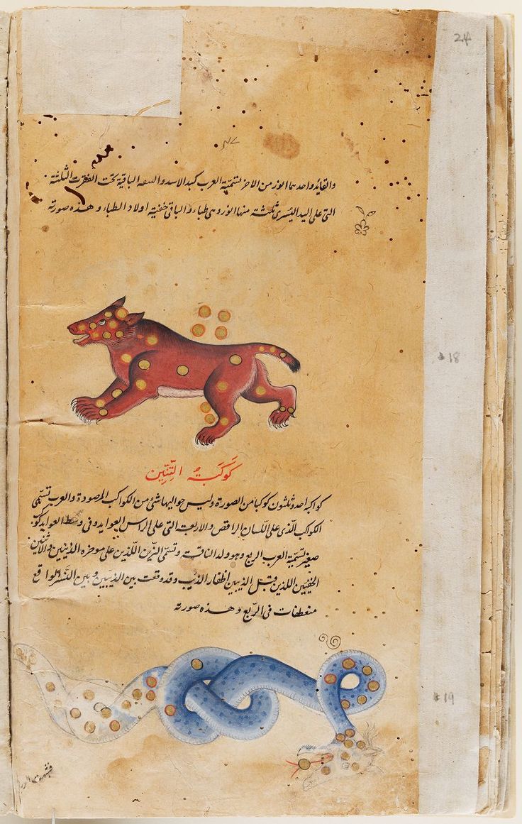 web archive environmental scan wonder [source: Qazwini / ids.lib.harvard.edu]