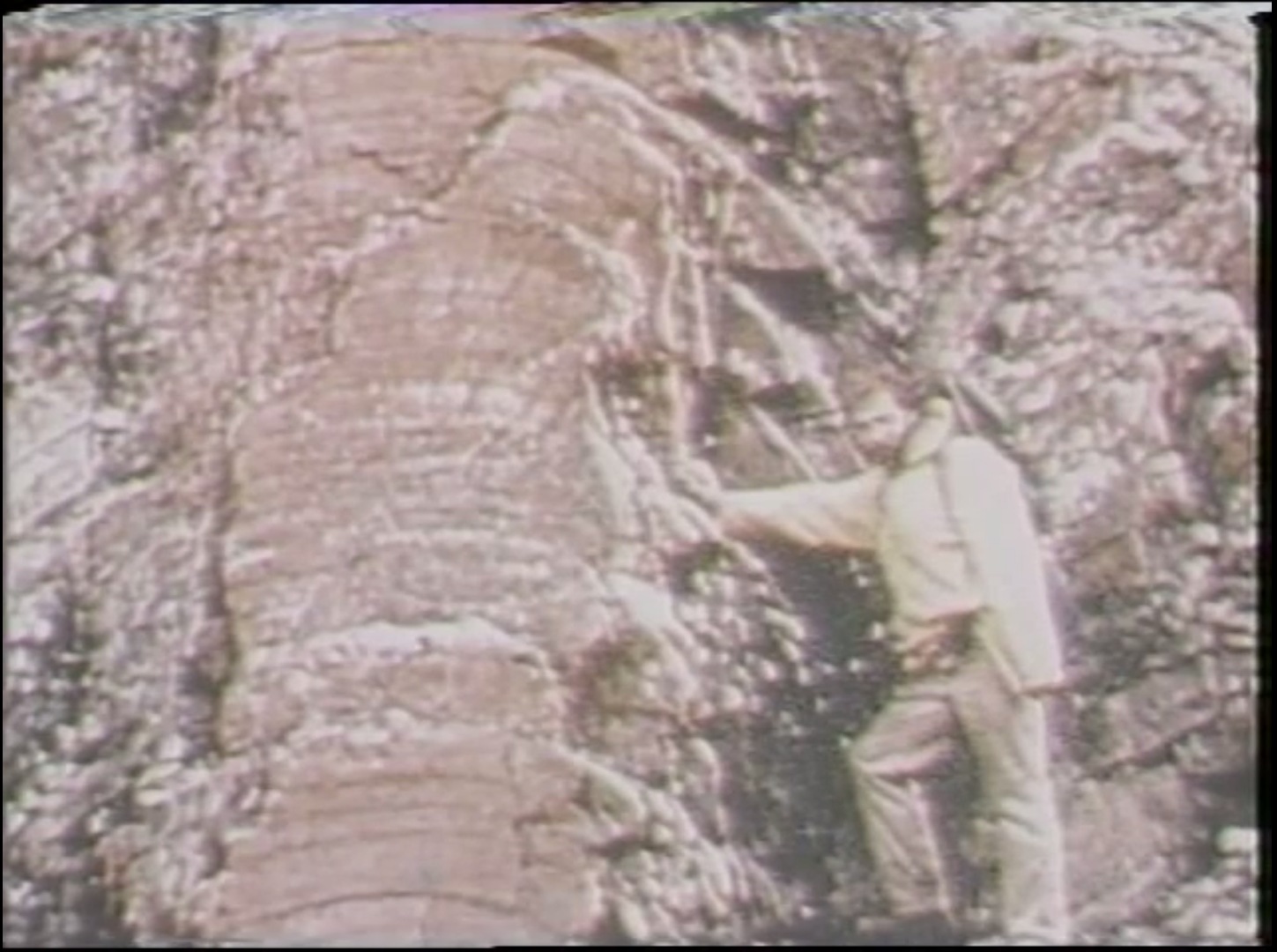 Stromatolite stone rock fire media [source: Boston University 1984, NASA Environmental Science. Snapshot of video]