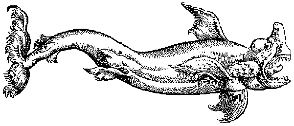Delphinus surgeon monster marvel encyclopedia curiosity human animal nature figure fish [source: On Monsters and Marvels by Ambroise Paré 1510]